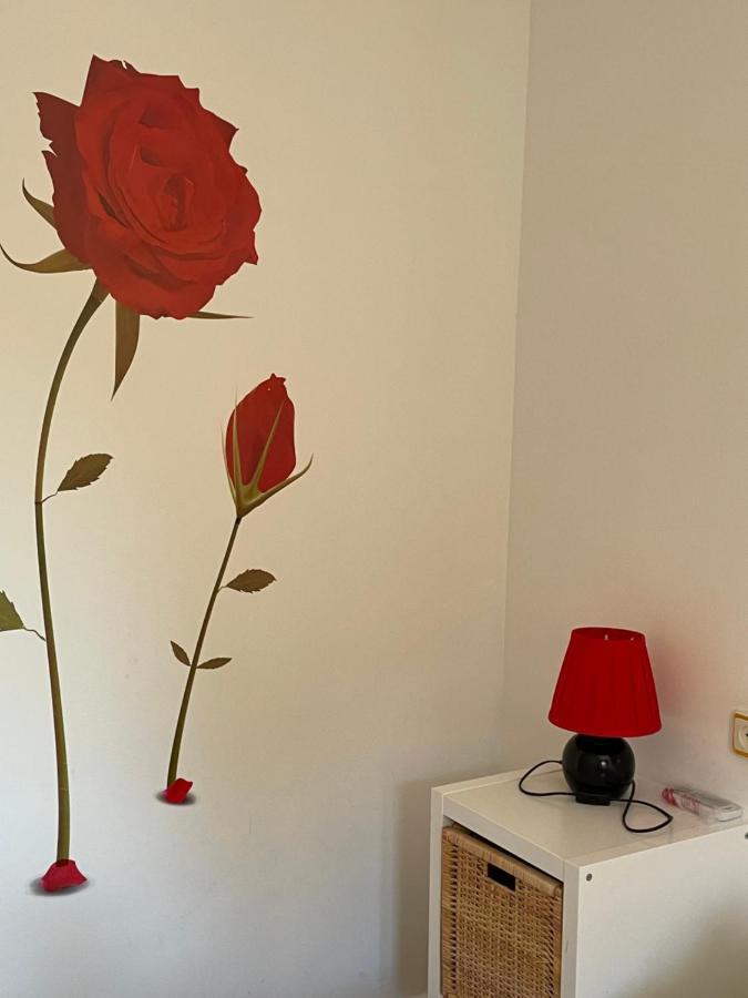 Apartamento Beatriz Cuenca  Bagian luar foto